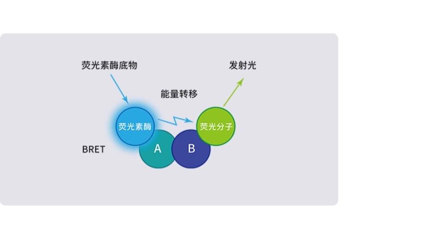奥盛仪器